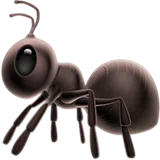 ant