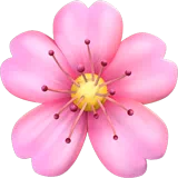 cherry blossom