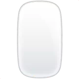 computer mouse