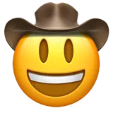 cowboy hat face