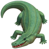 crocodile