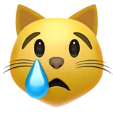 crying cat