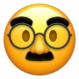 disguised face