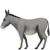 donkey