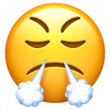 face with steam from nose
