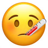face with thermometer