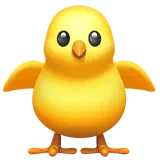front-facing baby chick
