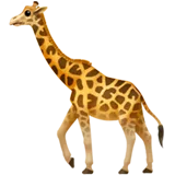 giraffe