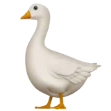 goose