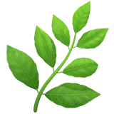 herb