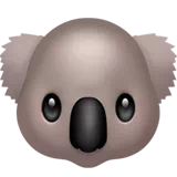 koala