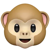monkey face
