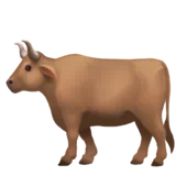 ox