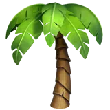 palm tree