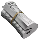 rolled-up newspaper