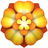 rosette