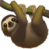sloth