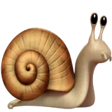 snail