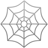 spider web
