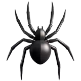 spider