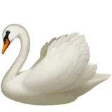 swan