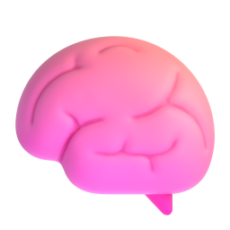 brain