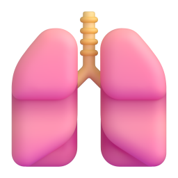 lungs