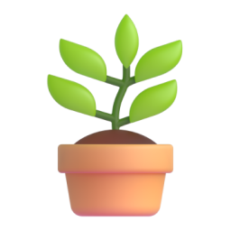 potted plant