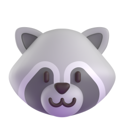 raccoon