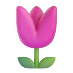 tulip