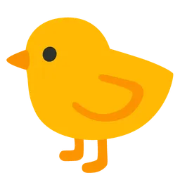 baby chick
