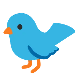 bird