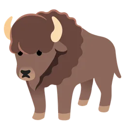 bison