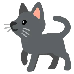 black cat