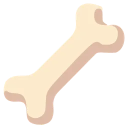 bone