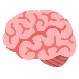 brain