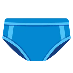 briefs