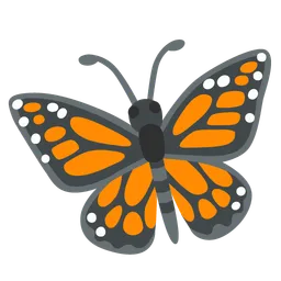 butterfly