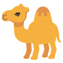 camel
