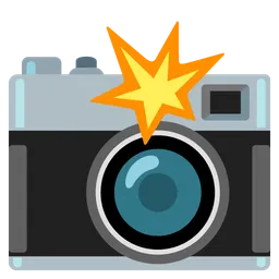 camera with flash