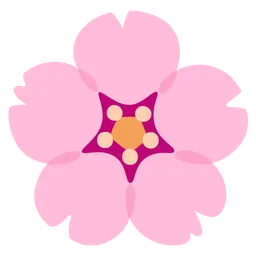 cherry blossom