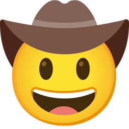 cowboy hat face