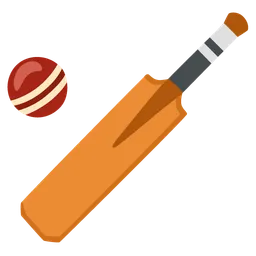cricket game