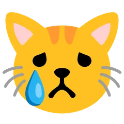 crying cat