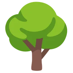 deciduous tree