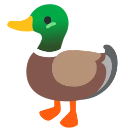 duck