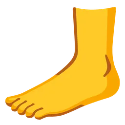 foot