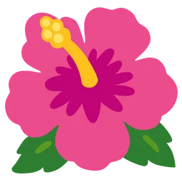 hibiscus