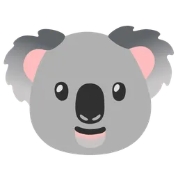 koala