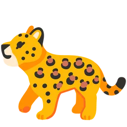leopard